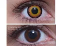ColourVUE Crazy Oranssi (2 kpl)