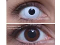 ColourVUE Crazy Whiteout (2 kpl)