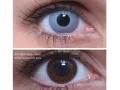 ColourVUE Crazy Zombie harmaa (2 kpl)