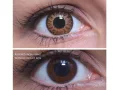 ColourVUE Glamour Ruskea (2 kpl)