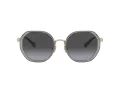 Coach Cd477 Aurinkolasit HC 7141 90058G