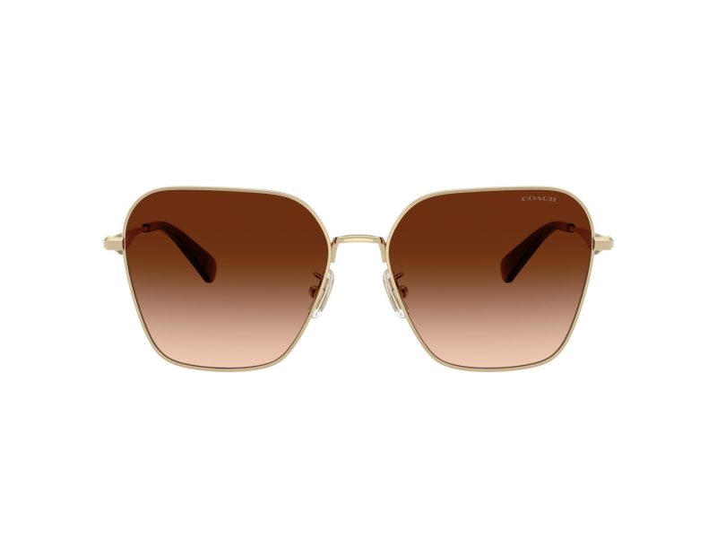 Coach Cw189 Aurinkolasit HC 7168 900574