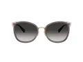 Coach Cw185 Aurinkolasit HC 7170 94543C