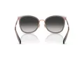Coach Cw185 Aurinkolasit HC 7170 94543C