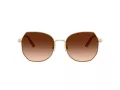 Coach Cad79 Aurinkolasit HC 7175 900574