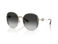 Coach Cad73 Aurinkolasit HC 7176B 90053C