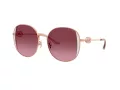 Coach Cad73 Aurinkolasit HC 7176B 93318H