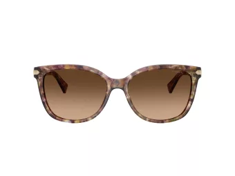 Coach L109 Aurinkolasit HC 8132 528713