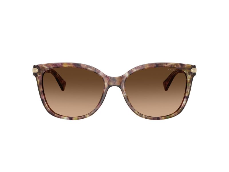 Coach L109 Aurinkolasit HC 8132 528713