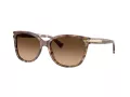 Coach L109 Aurinkolasit HC 8132 528713