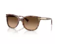Coach L109 Aurinkolasit HC 8132 528713