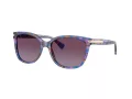 Coach L109 Aurinkolasit HC 8132 52888H