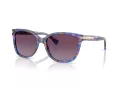 Coach L109 Aurinkolasit HC 8132 52888H