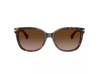 Coach L109 Aurinkolasit HC 8132 529113