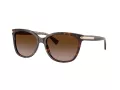 Coach L109 Aurinkolasit HC 8132 529113