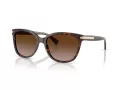 Coach L109 Aurinkolasit HC 8132 529113