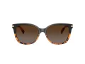 Coach L109 Aurinkolasit HC 8132 5438T5