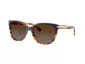 Coach L109 Aurinkolasit HC 8132 5438T5