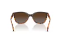 Coach L109 Aurinkolasit HC 8132 5438T5