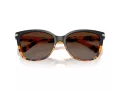 Coach L109 Aurinkolasit HC 8132 5438T5