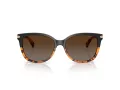 Coach L109 Aurinkolasit HC 8132 5438T5