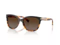 Coach L109 Aurinkolasit HC 8132 5438T5