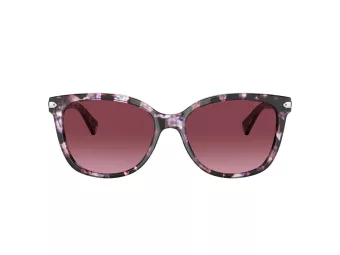 Coach L109 Aurinkolasit HC 8132 55488H