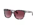 Coach L109 Aurinkolasit HC 8132 55488H