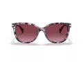 Coach L109 Aurinkolasit HC 8132 55488H