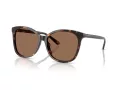 Coach L1101 Aurinkolasit HC 8271U 512073