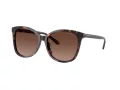 Coach L1101 Aurinkolasit HC 8271U 5120T5