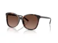 Coach L1101 Aurinkolasit HC 8271U 5120T5