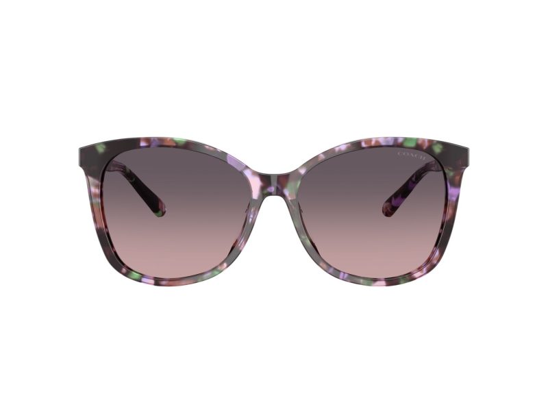 Coach L1101 Aurinkolasit HC 8271U 584346