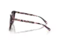 Coach L1101 Aurinkolasit HC 8271U 584346