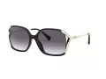 Coach L1116 Aurinkolasit HC 8280U 50028G