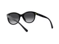 Coach L1149 Aurinkolasit HC 8297U 50028G
