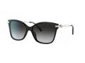 Coach C3446 Aurinkolasit HC 8316 50028G