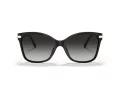 Coach C3446 Aurinkolasit HC 8316 50028G