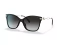 Coach C3446 Aurinkolasit HC 8316 50028G