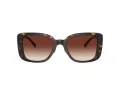 Coach Cd472 Aurinkolasit HC 8352 512013