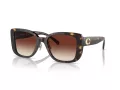 Coach Cd472 Aurinkolasit HC 8352 512013