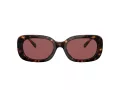 Coach Cd471 Aurinkolasit HC 8358U 512069