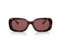 Coach Cd471 Aurinkolasit HC 8358U 512069