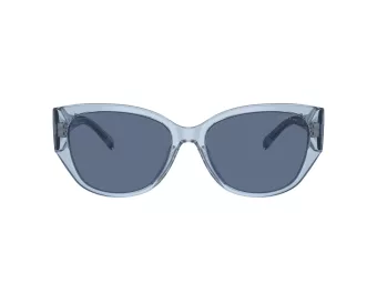 Coach Ch563 Aurinkolasit HC 8362U 574080