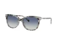 Coach Cl926 Aurinkolasit HC 8378U 57784L