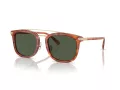 Coach Cl913 Aurinkolasit HC 8382 577482