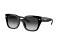 Coach Cr611 Aurinkolasit HC 8392U 50023C