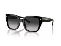 Coach Cr611 Aurinkolasit HC 8392U 50023C