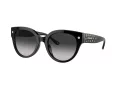 Coach Cr612 Aurinkolasit HC 8393U 50023C
