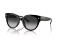 Coach Cr612 Aurinkolasit HC 8393U 50023C